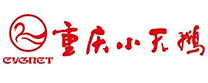 重庆小天鹅